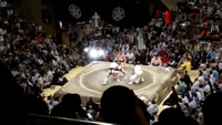 Sumo